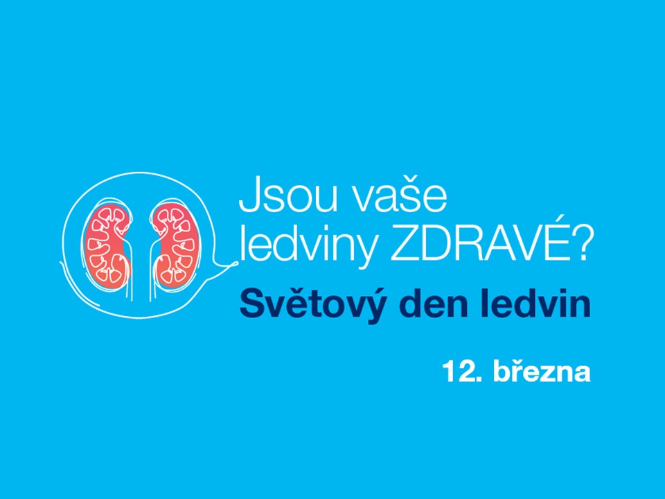Jsou vaše ledviny ZDRAVÉ