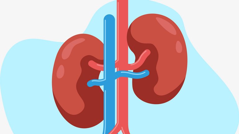 Kidney failure