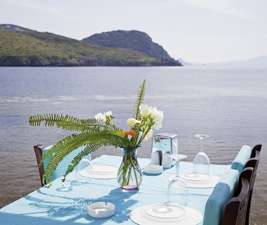 Eating right on holiday