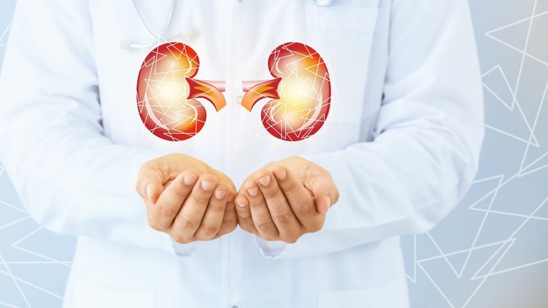 APAC Colleagues Visit Portugal for HighVolumeHDF Exchange