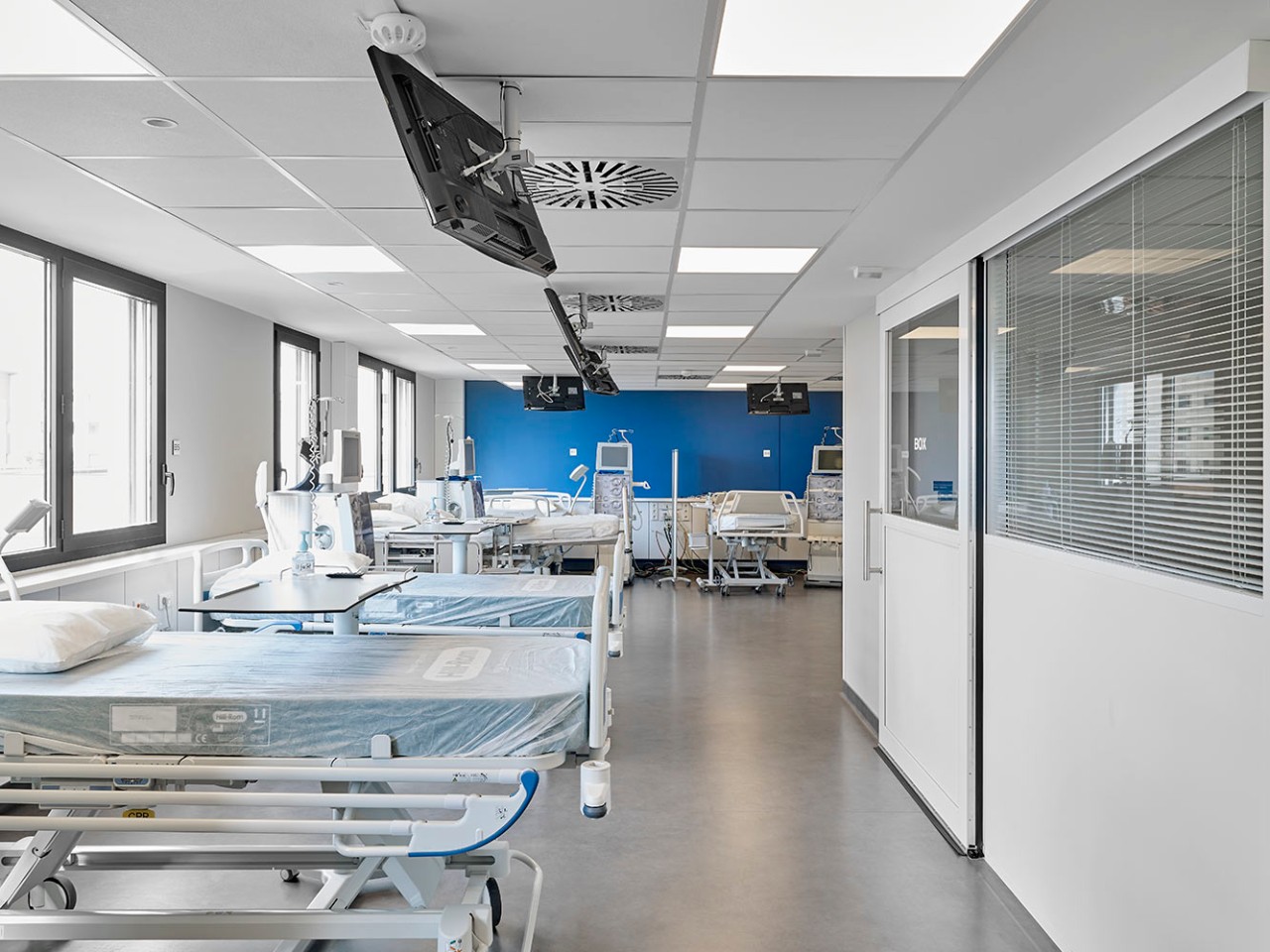 Nephrocare-Millenaire-2018-39_