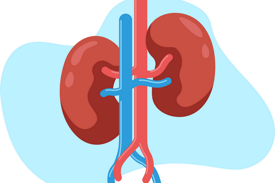 transplantation_fa8c8e410c