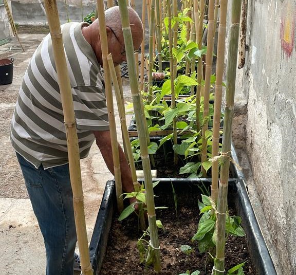 Enrique García en su huerto de El Palmar, Murcia.